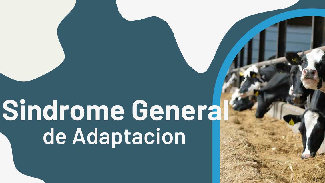 Síndrome General de Adaptación