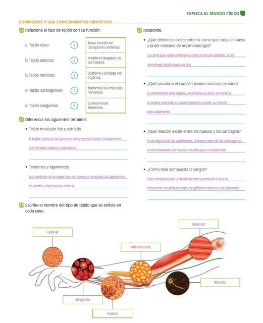 Comprende y usa conocimientos cientificos