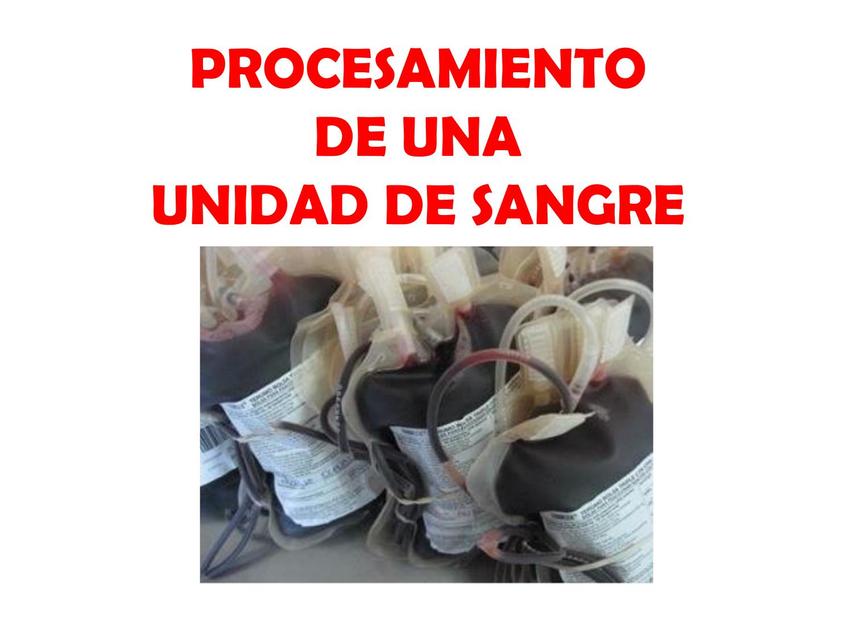 Procesamiento de una unidad de sangre 