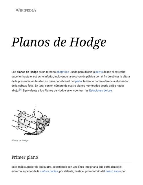 Planos de Hodge