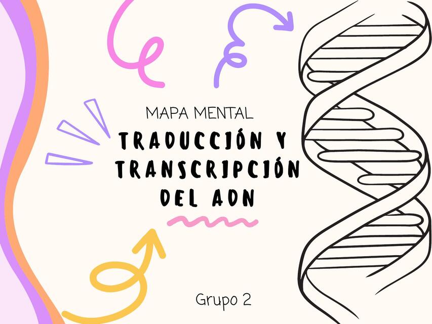 Traduccion y transcripcion del ADN