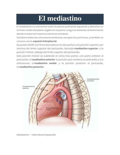 El Mediastino