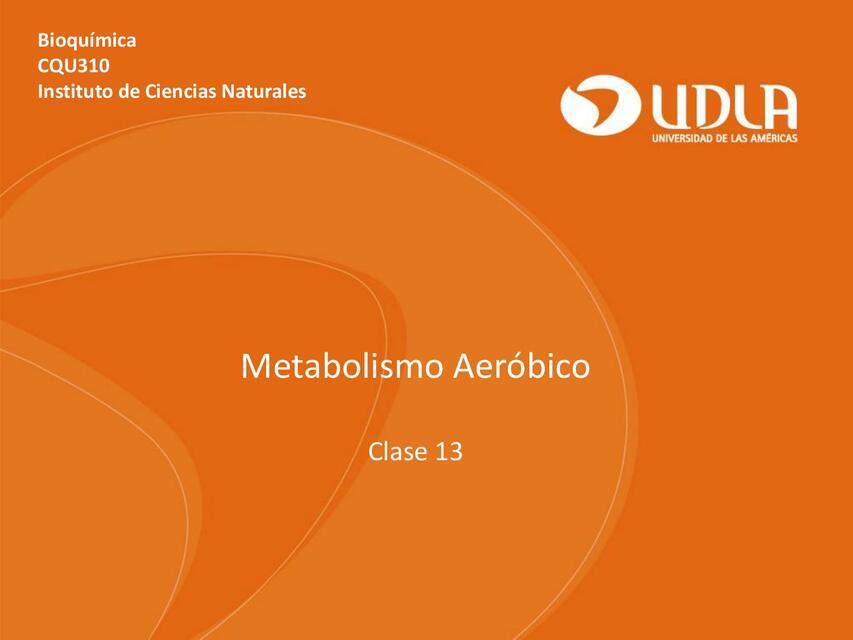 Metabolismo Aeróbico