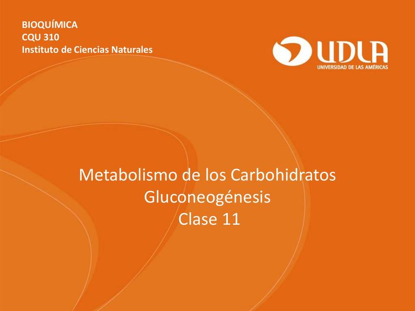 Gluconeogénesis clase 11 