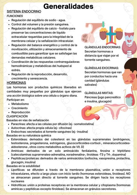 Generalidades de Endocrinología 