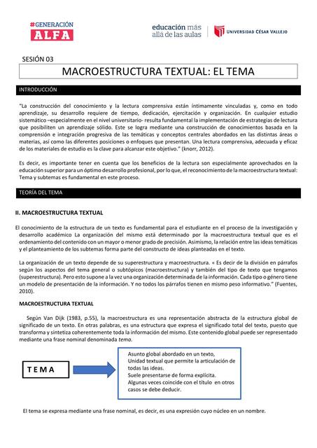 MACROESTRUCTURA TEXTUAL