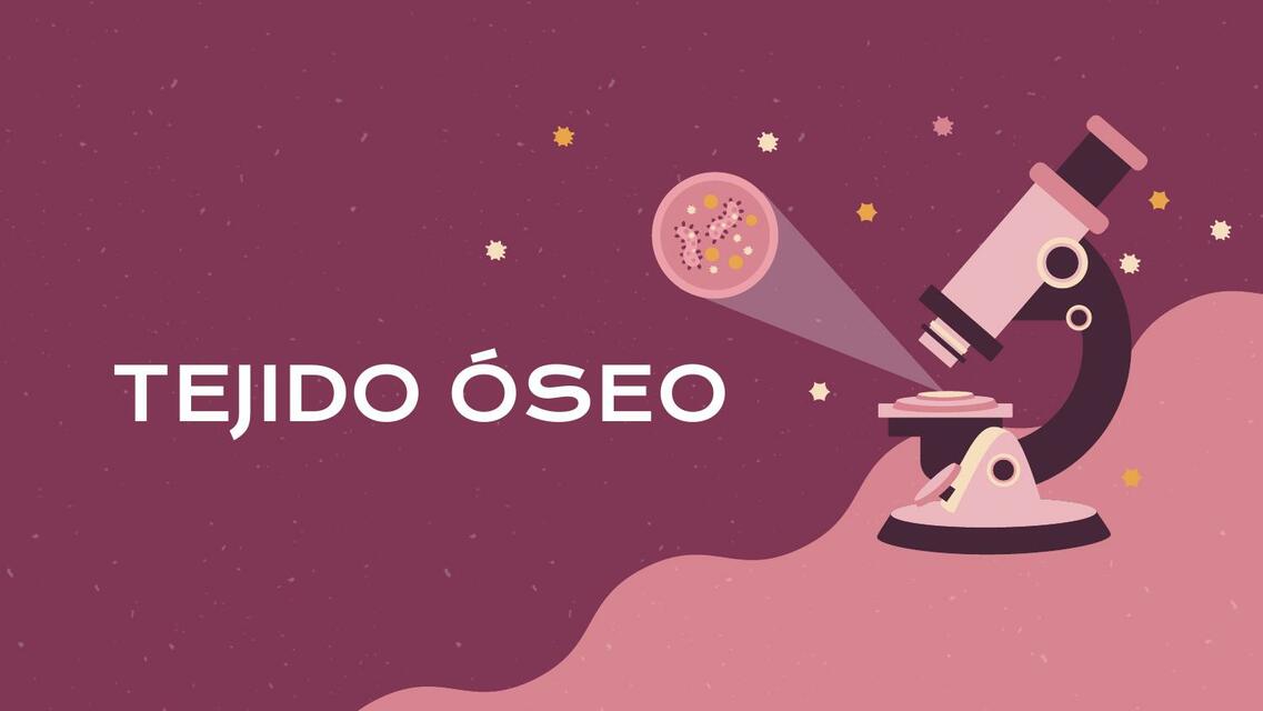 Tejido Oseo