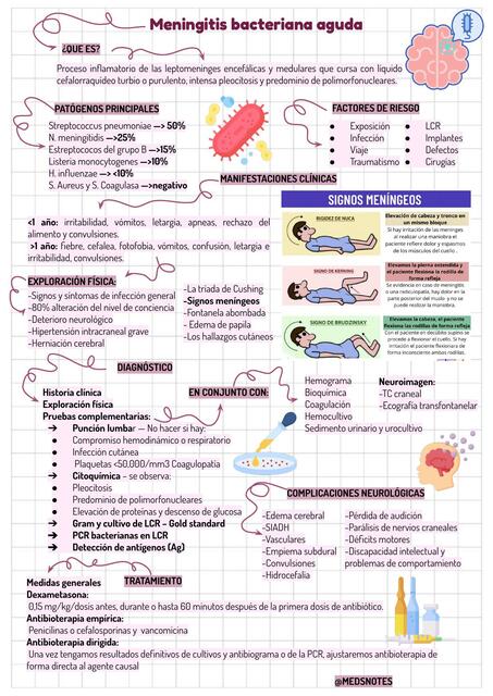 Meningitis Bacteriana Aguda 