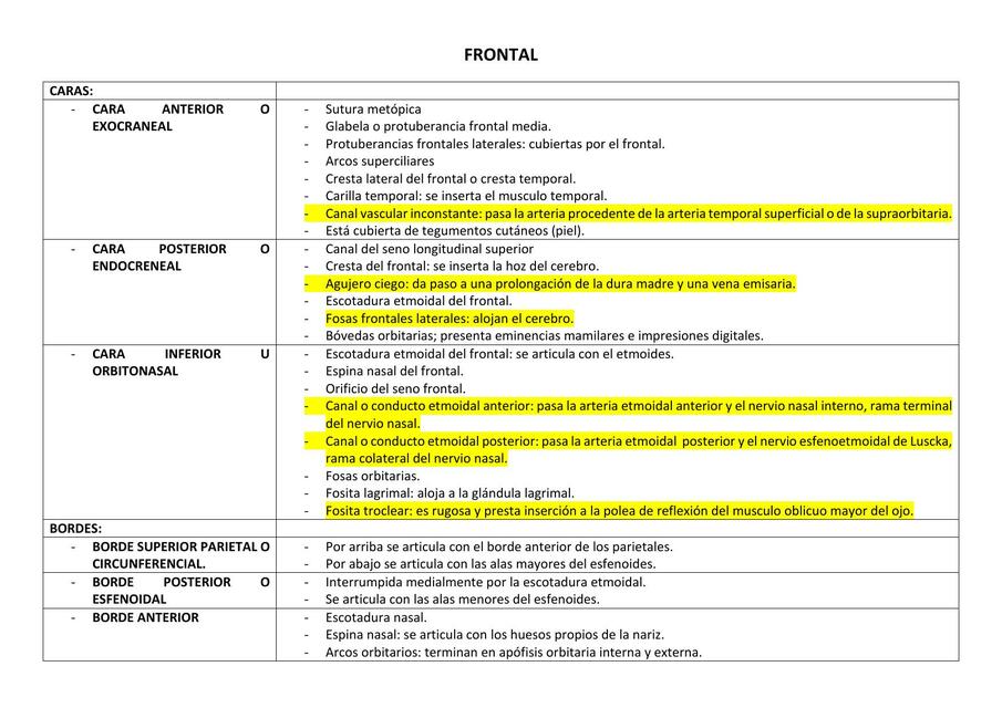 Apuntes de anatomia