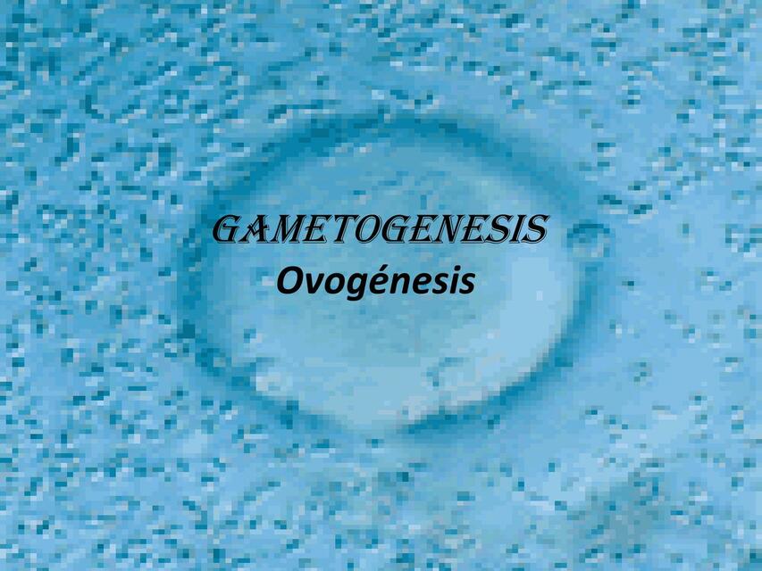 Gametogénesis