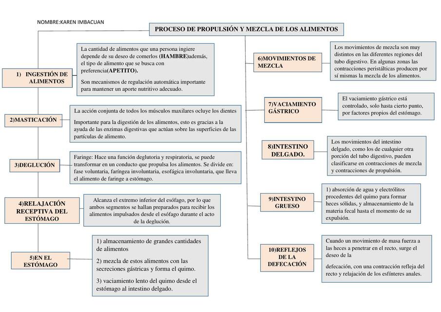 Proceso de Propulsión y Mezcla de los Alimentos 