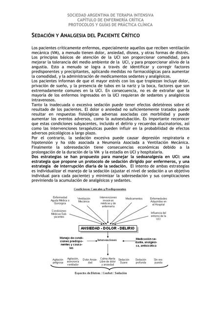 Sedación y Analgesia del Paciente Crítico 