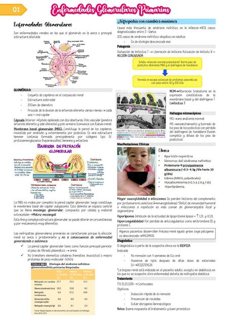 Enfermedades Glomerulares Primarias