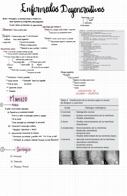 Enfermedades degenerativas
