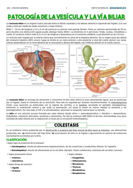 Patología de vesícula y vía biliar - Colestasis, colelitiasis, colangitis, síndr