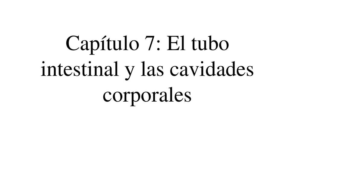 El Tubo Intestinal y las Cavidades Corporales 