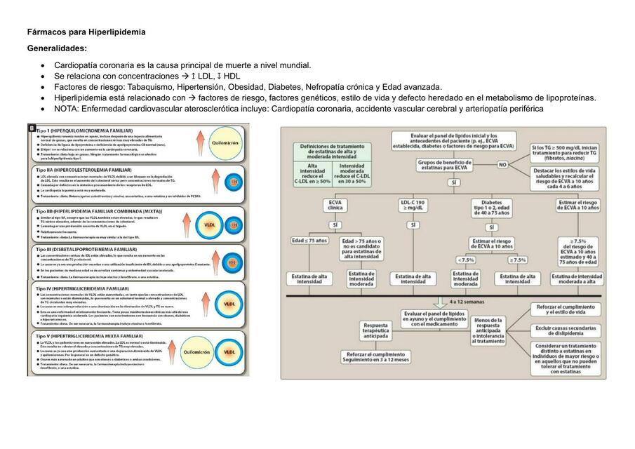 Fármacos para Hiperlipidemia (Resumen)