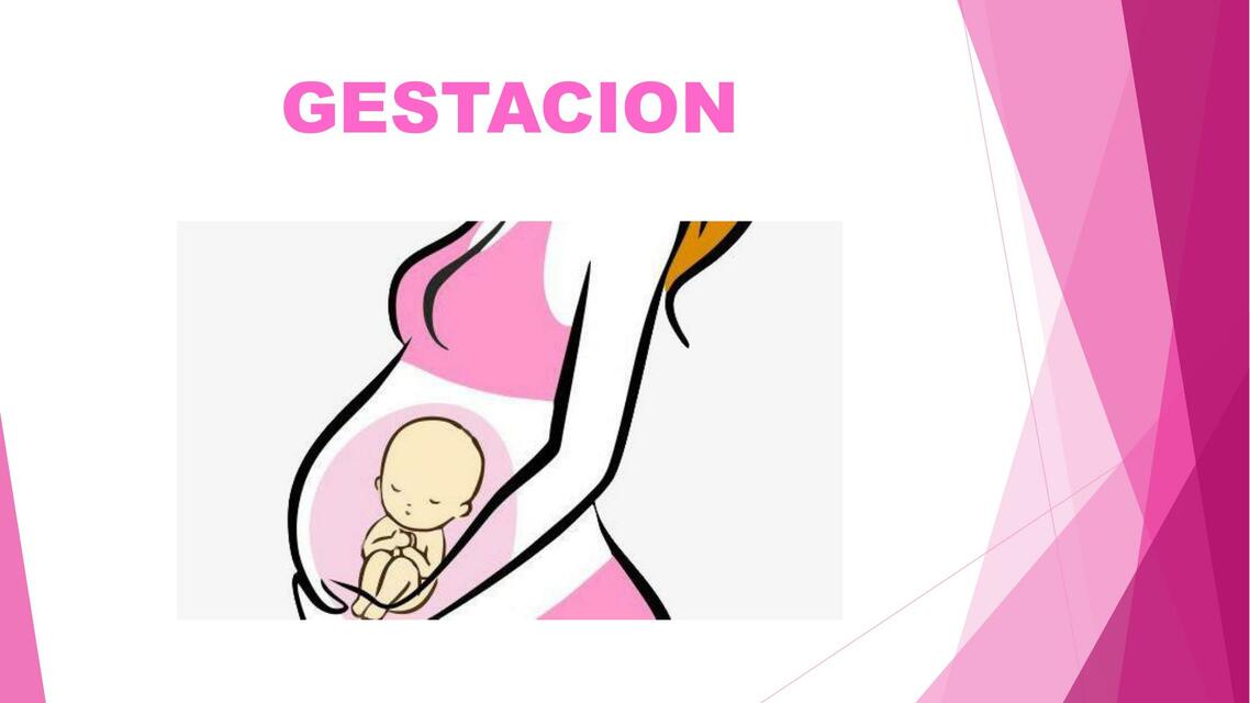 Gestación 