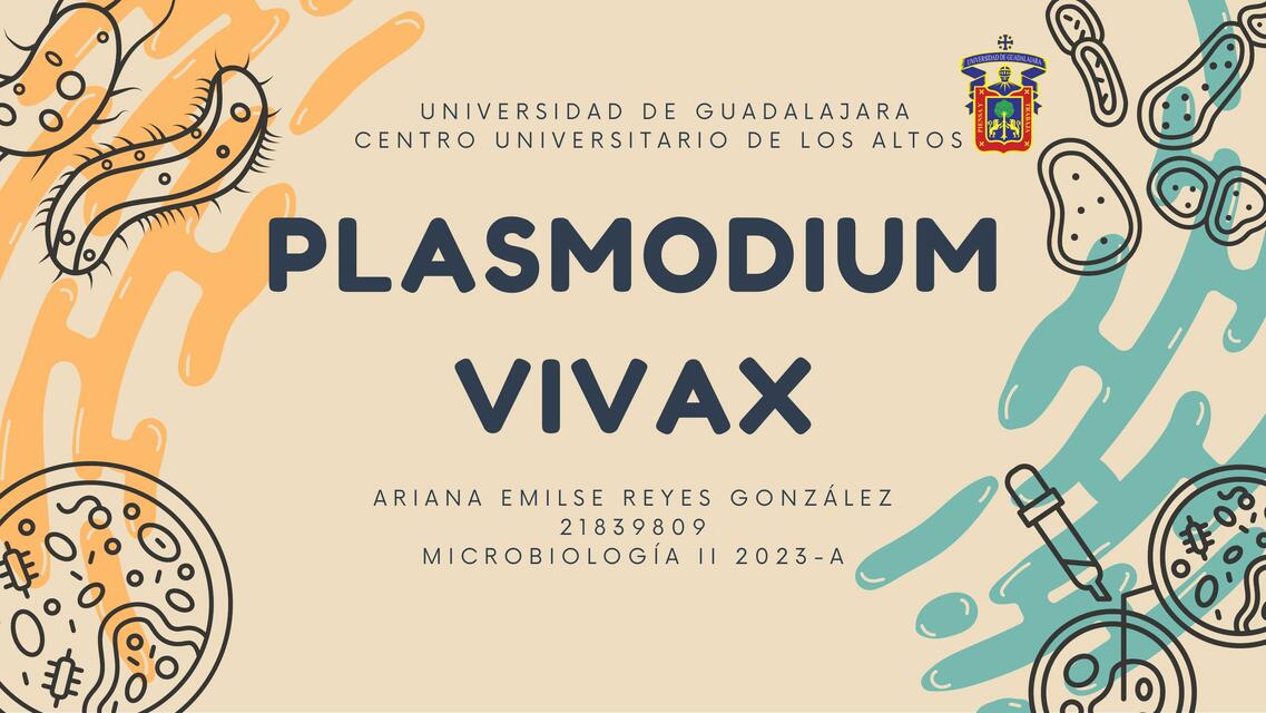 Plasmodium Vivax