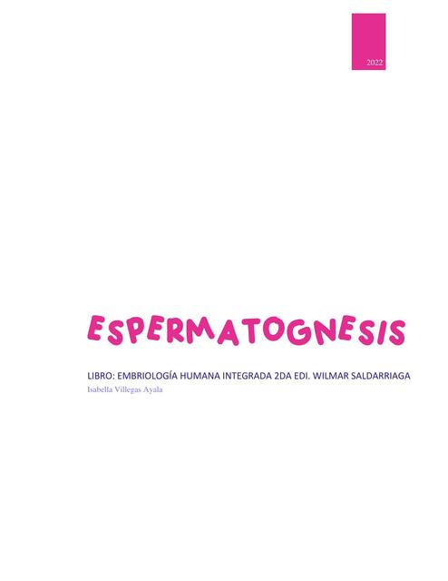 Espermatogénesis