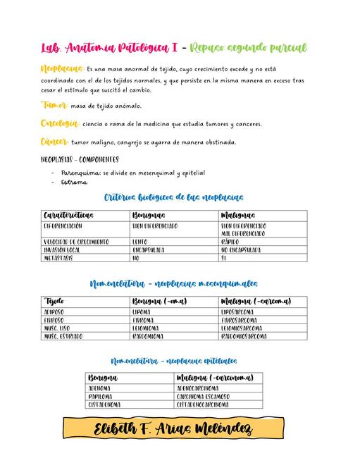 Lab. Anatomía Patológica I 