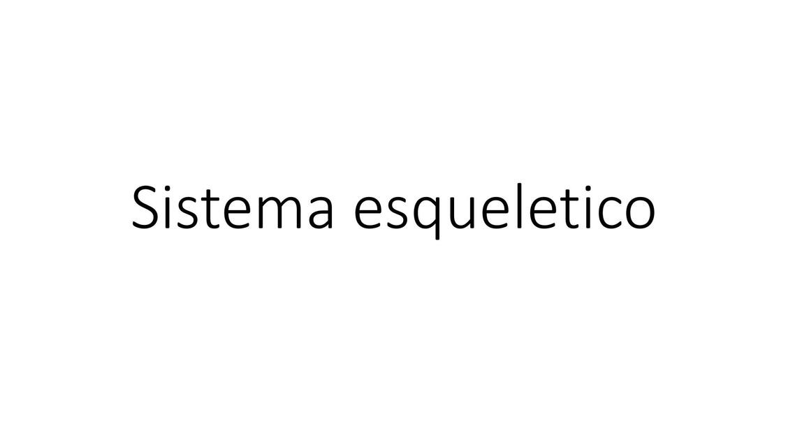 Sistema Esquelético 