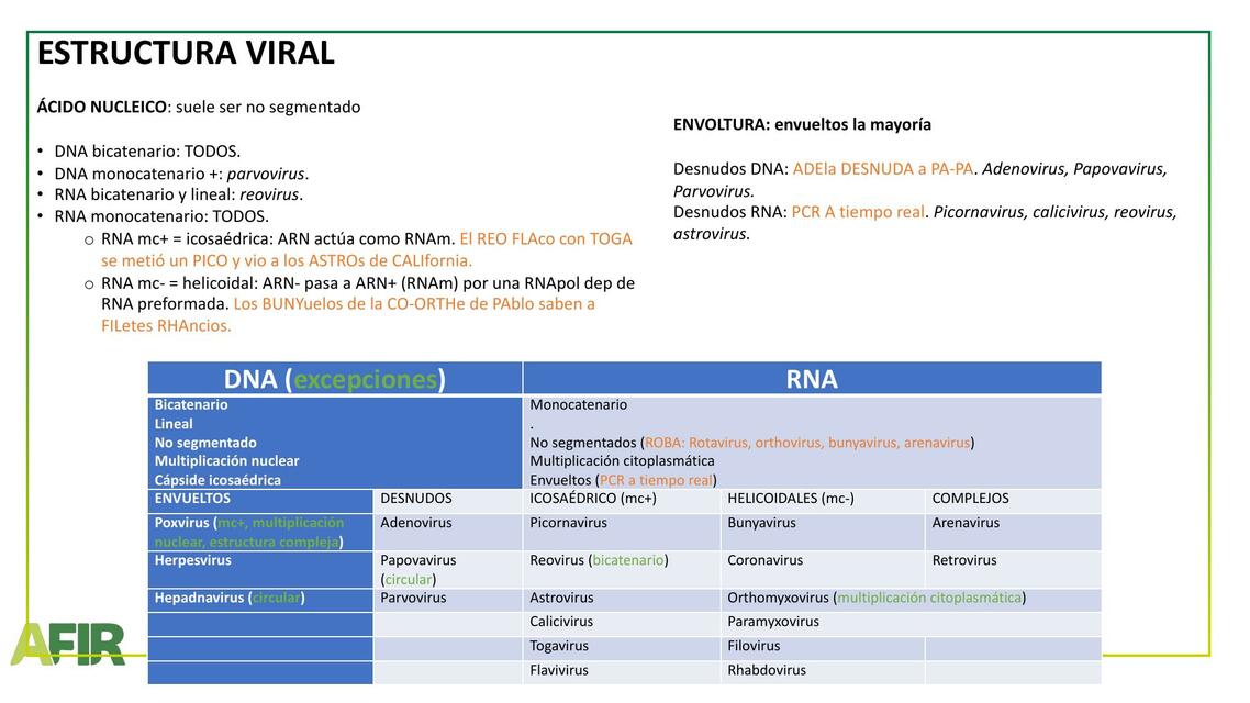 Estructura Viral 