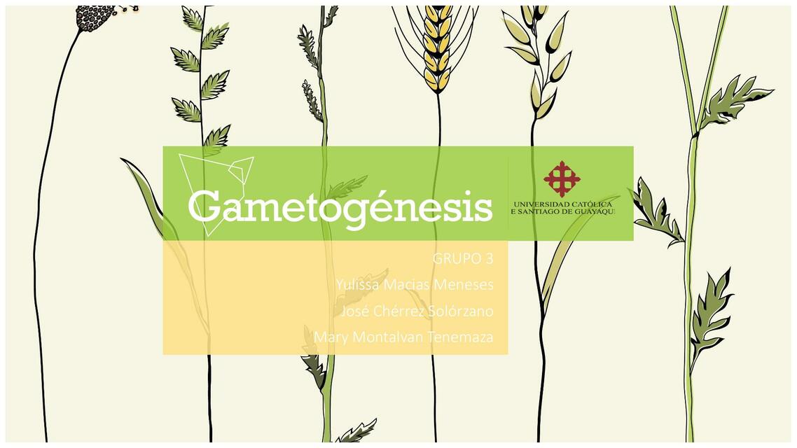 Gametogénesis 