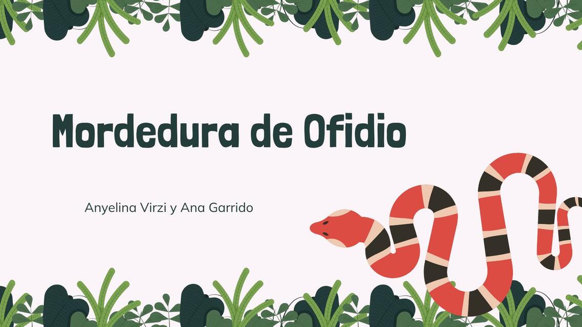 MORDEDURA DE OFIDIO