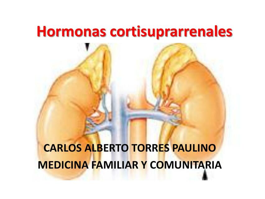 Hormonas cortisuprarrenales