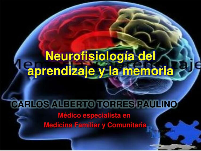 Neurofisiología del aprendizaje y la memoria