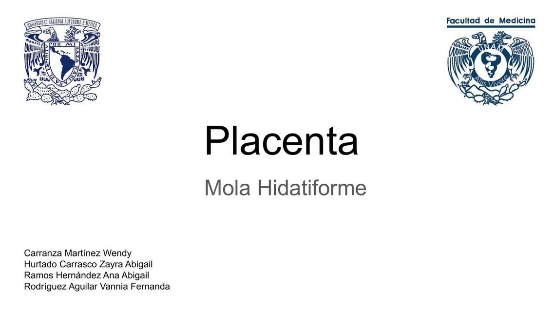 Placenta 