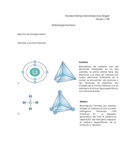 Ejercicio de biomoléculas