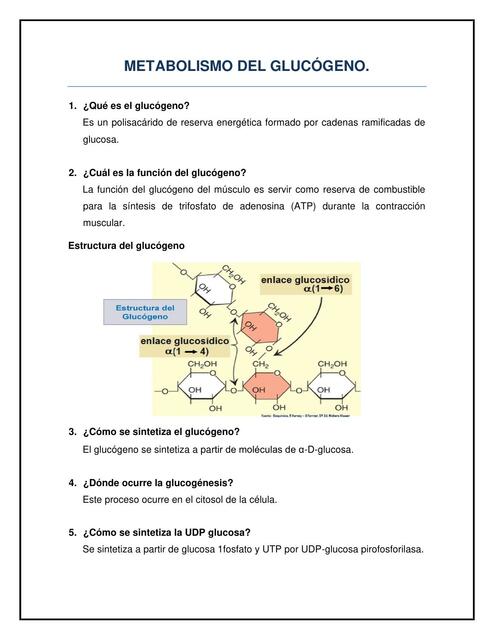 Metabolismo del glucógeno 