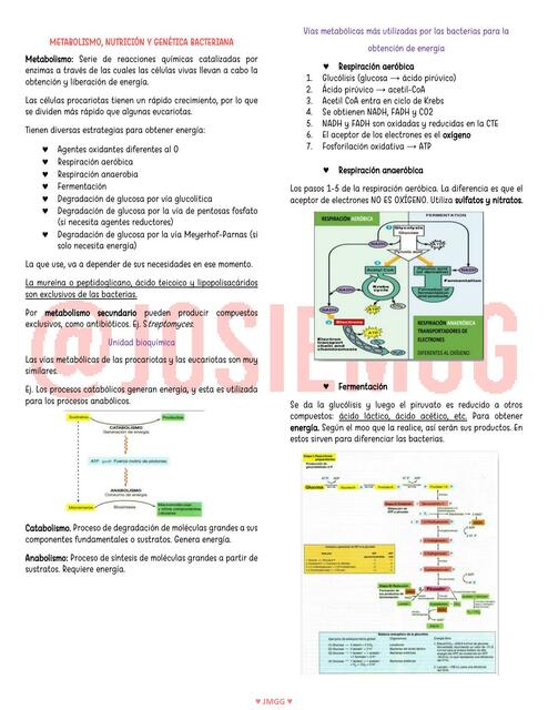 Metabolismo nutrición y genética bacteriana