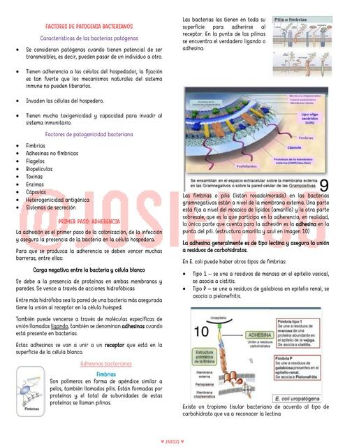 Factores de patogenia bacterianos