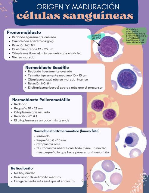 Hematología 