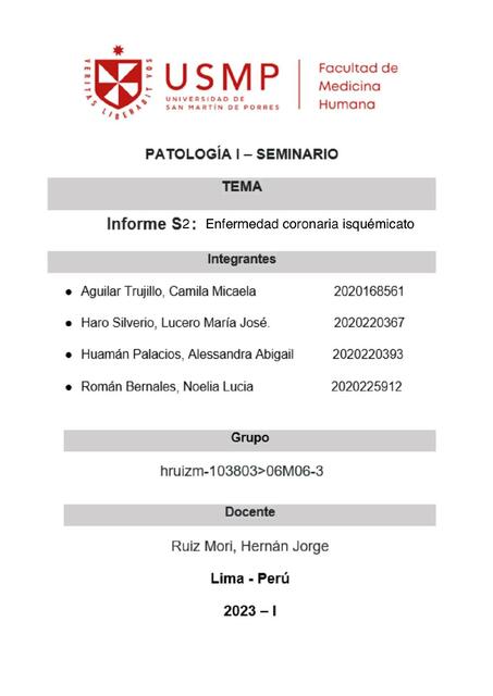 Informe s2: enfermedad coronaria isquémica 