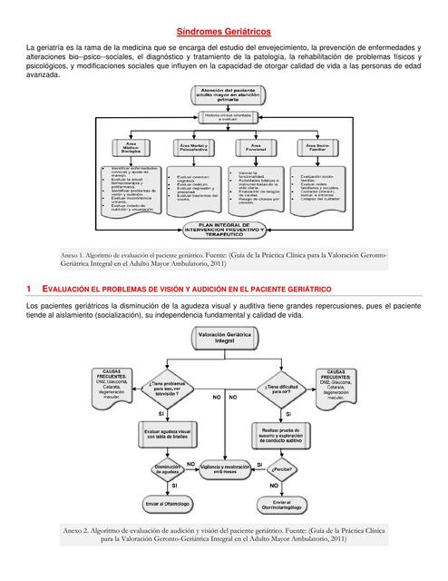 Síndromes Geriátricos Resumen