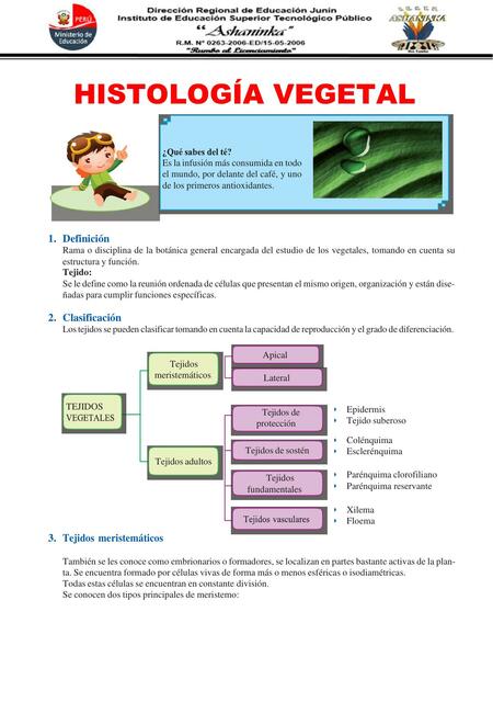 Clase n 02 histología vegetal