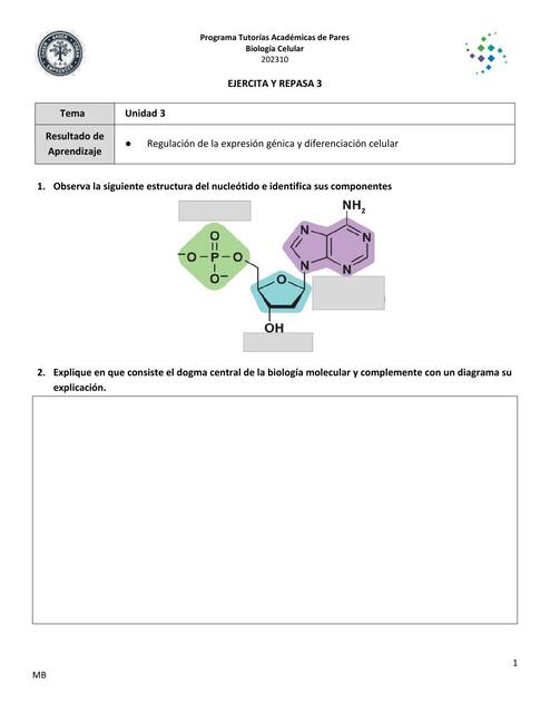 Regulación de la Expresión Génica y Diferenciación Celular