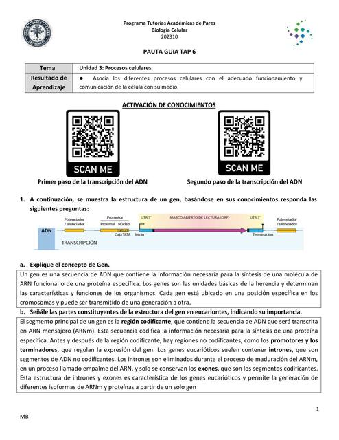 Procesos Celulares