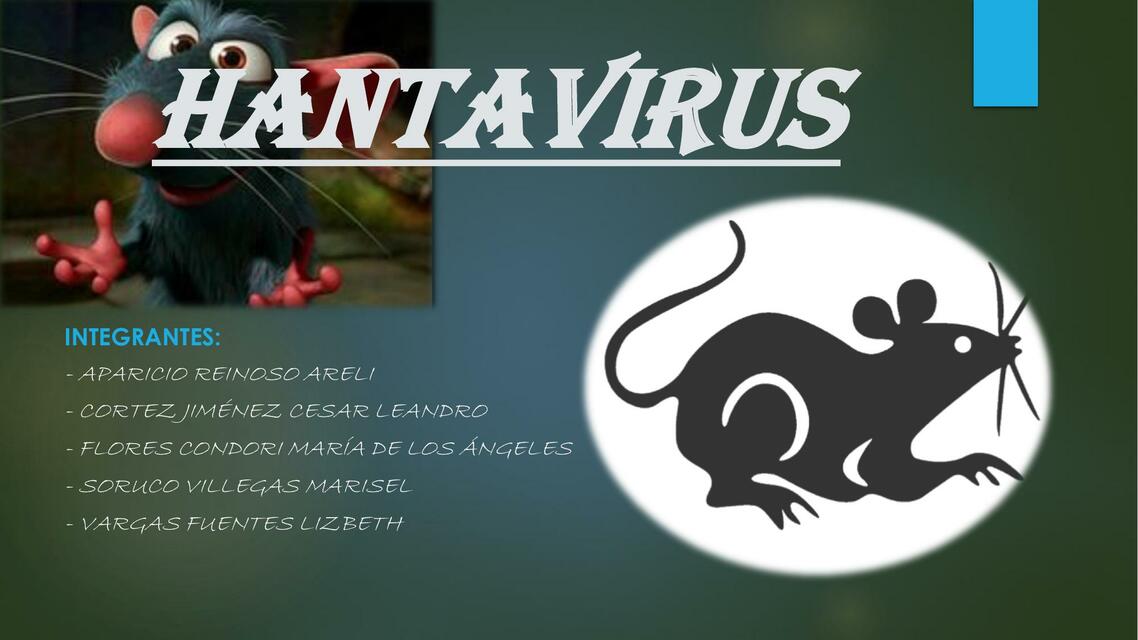 Hantavirus 