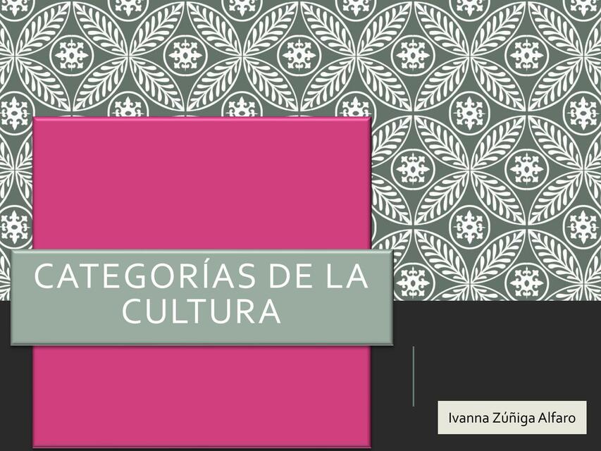 Categorías de la Cultura