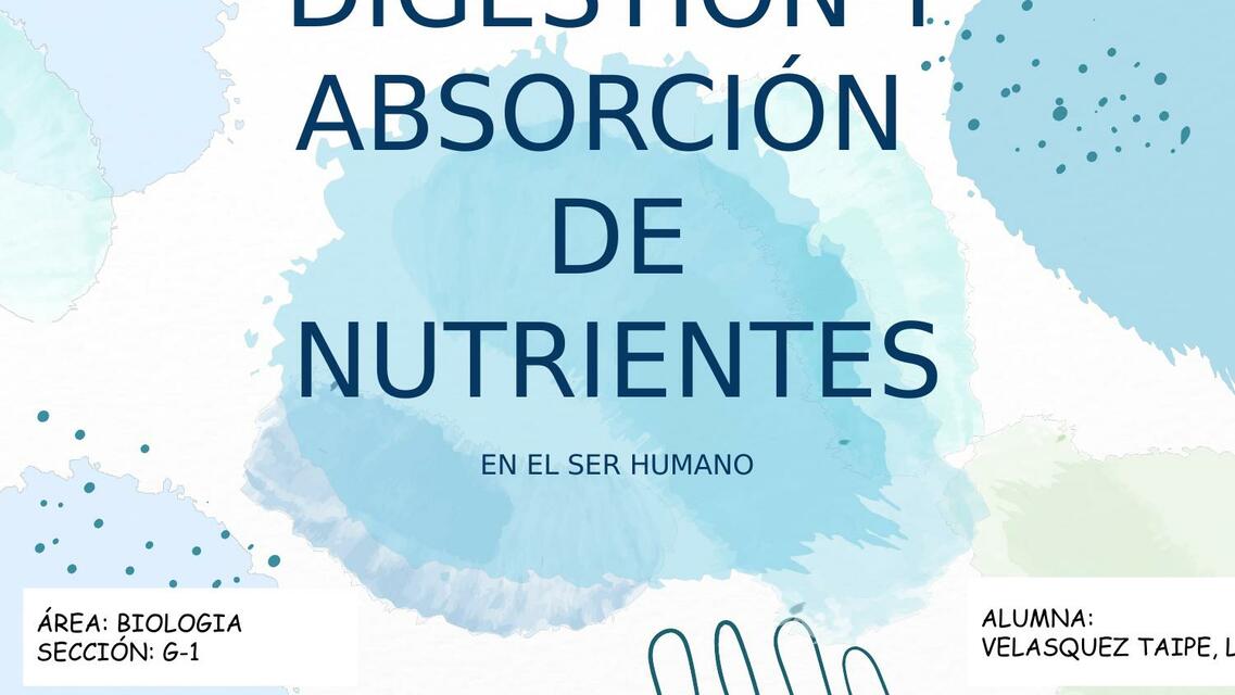 Absorción y Digestión de Nutrientes 