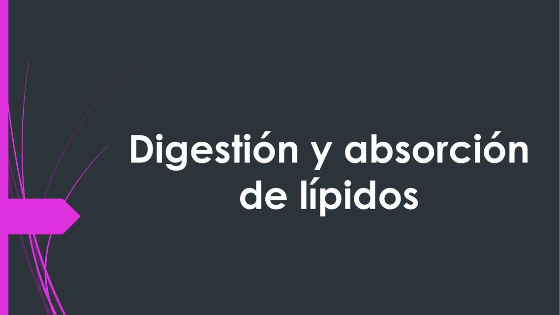 Digestión y absorción de lípidos 