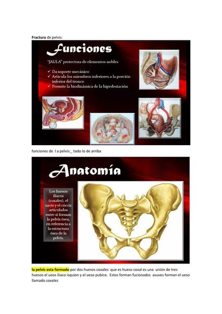 Traumatologia