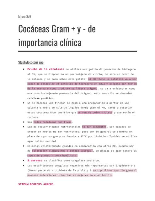 Cocáceas Gram + y - de importancia clínica