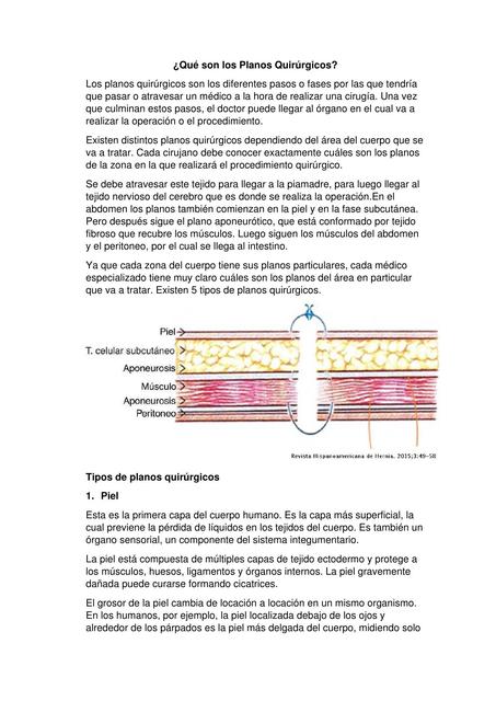 Planos Quirurgicos 