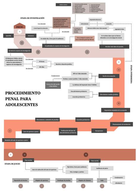 Diagramas de Procedimientos Penales Especiales 